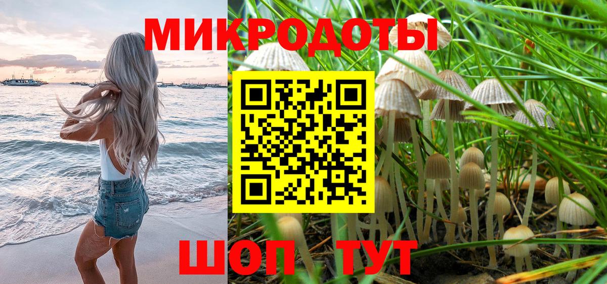 Галлюциногенные грибы прущие грибы Менделеевск