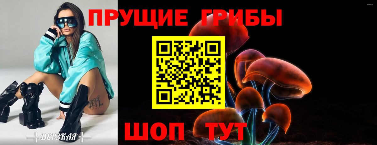 Менделеевск  Псилоцибиновые грибы Cubensis  Вход с VPN 